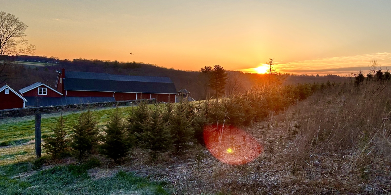 Sunrise at the Farm