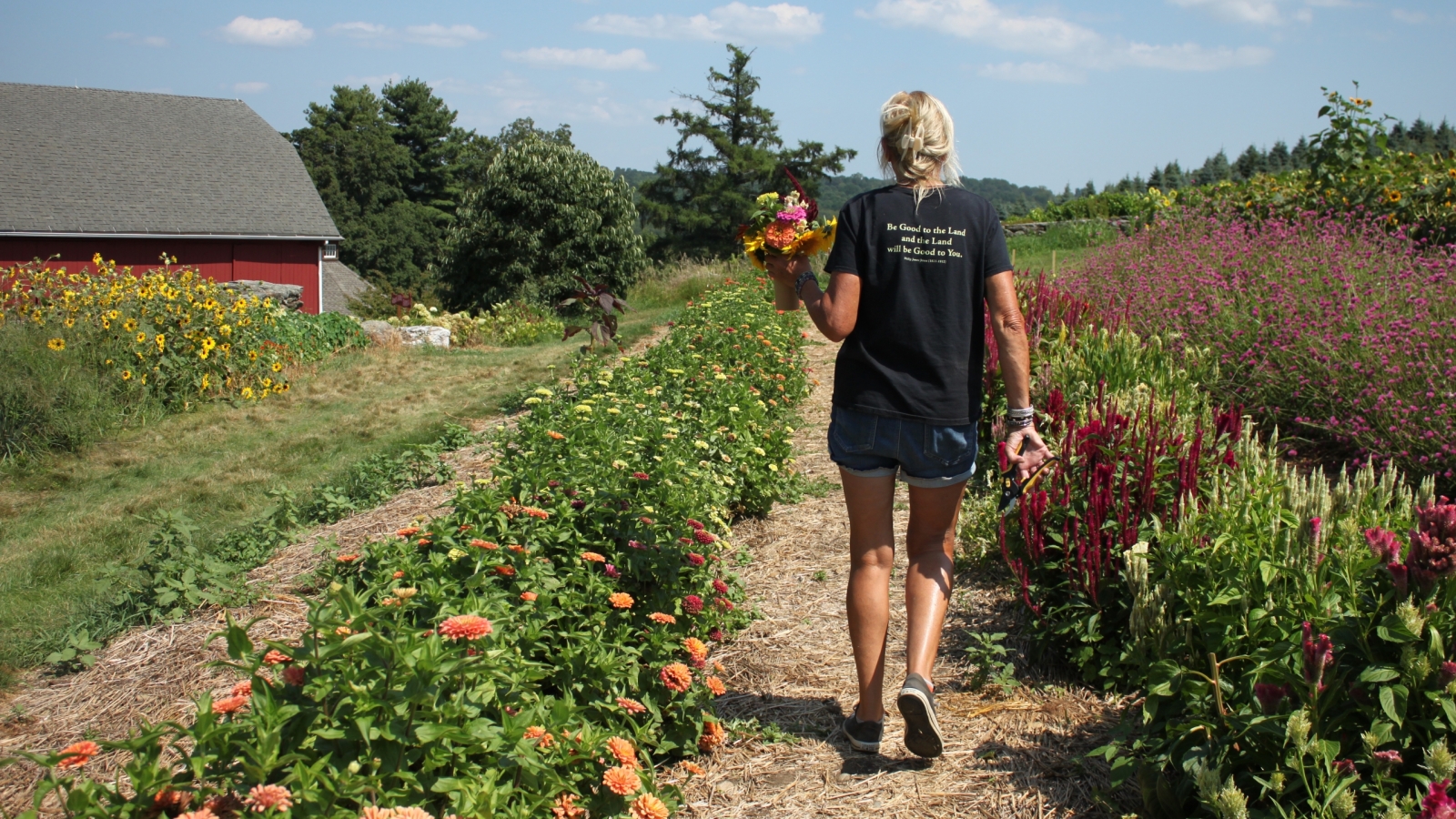 Picking flowers in the field.